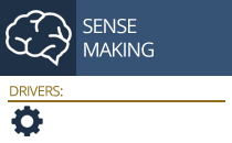 sense-making